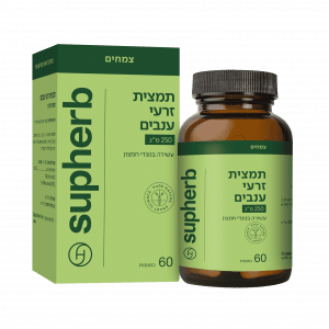 זרעי ענבים