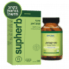 סיבי קונג’אק